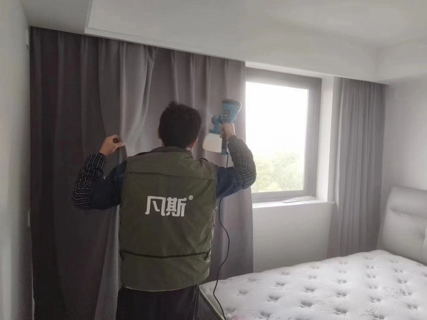 家居綠植該怎么選？好看又能清新空氣