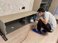 多肉能除甲醛嗎