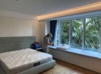 綠蘿能不能凈化室內空氣