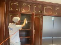 這個土方法快速除甲醛